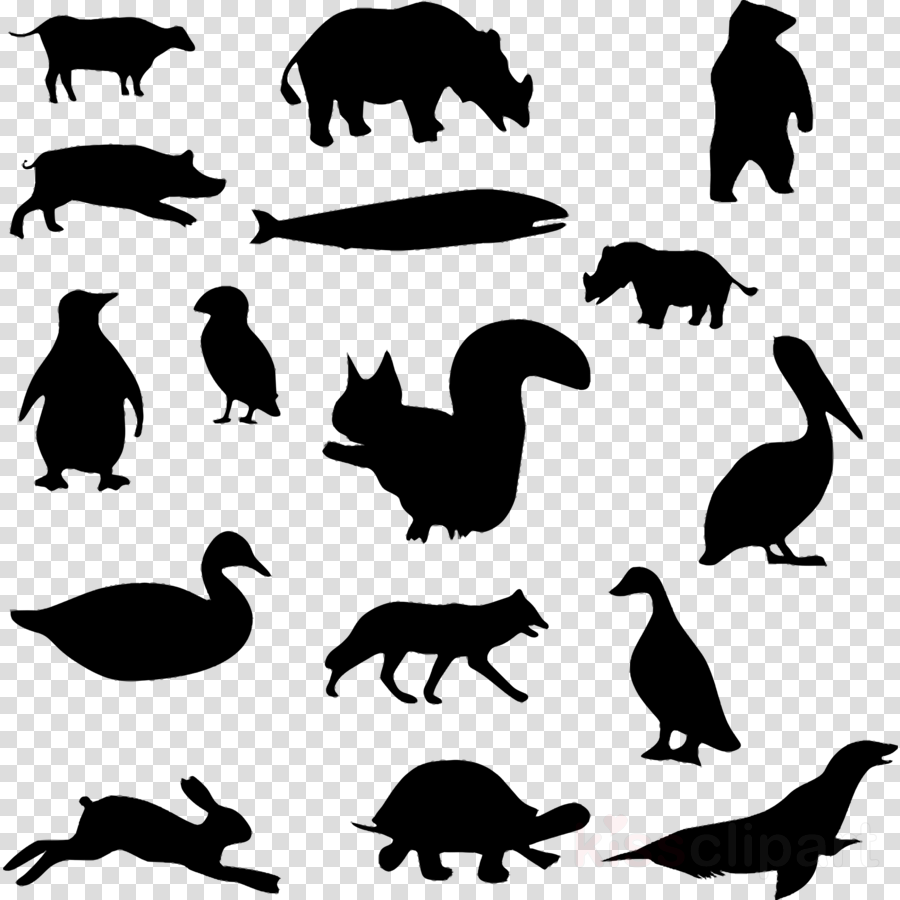 Animal Silhouettes Png Clipart Rhinoceros Clip Art - Personalized Black Rhino Silhouette Shower Curtain (900x900), Png Download