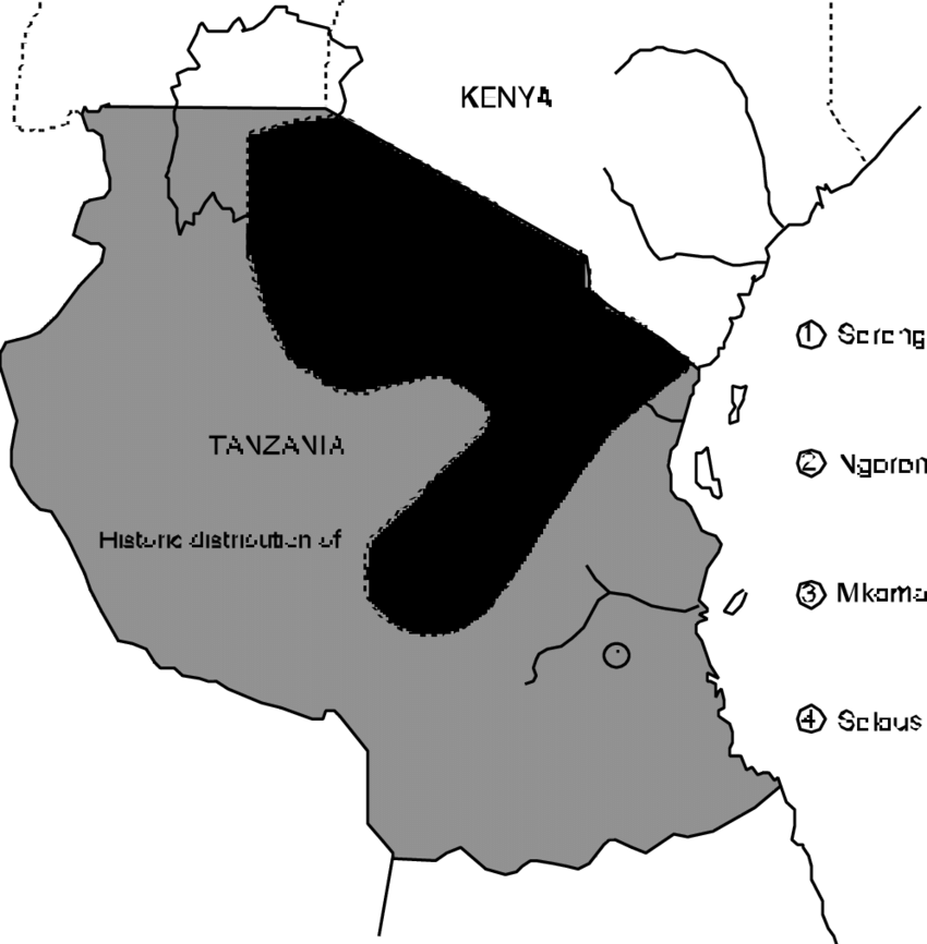 Historical And Present Distribution Of The Two Taxonomic - Black Rhinoceros (850x866), Png Download