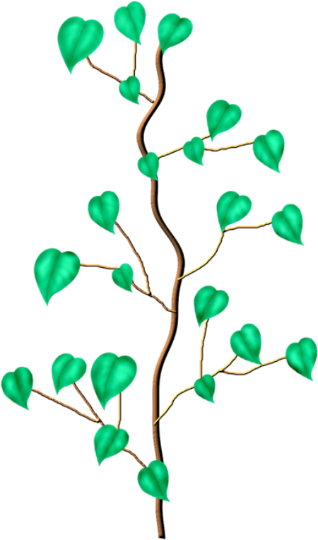 Фото, Автор I (510x800), Png Download