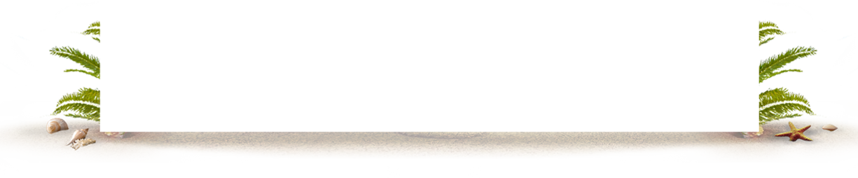 The Weather Is Here, Wish You Were Here At Margaritaville - Khaki (1225x254), Png Download