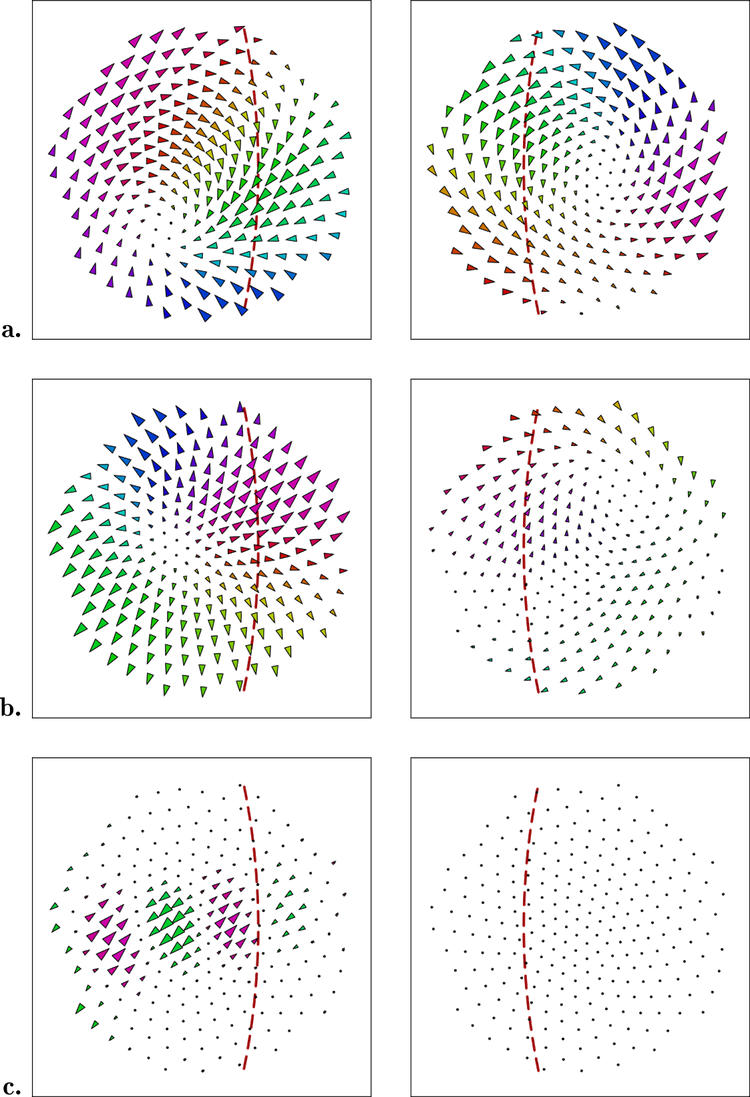 The Red Dotted Lines Mark The Margin Of Binocular Overlap (750x1097), Png Download