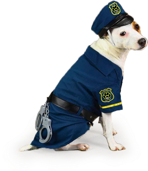 *cualquier Falta A Este Reglamento, Será Motivo De - Dog Halloween Costumes Cop (600x600), Png Download