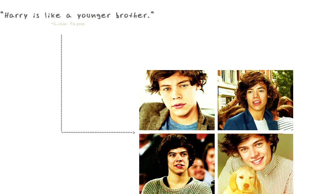 ”age Is A Number - One Direction Harry Styles Puppy Cute Music Rare 24x18 (1043x718), Png Download
