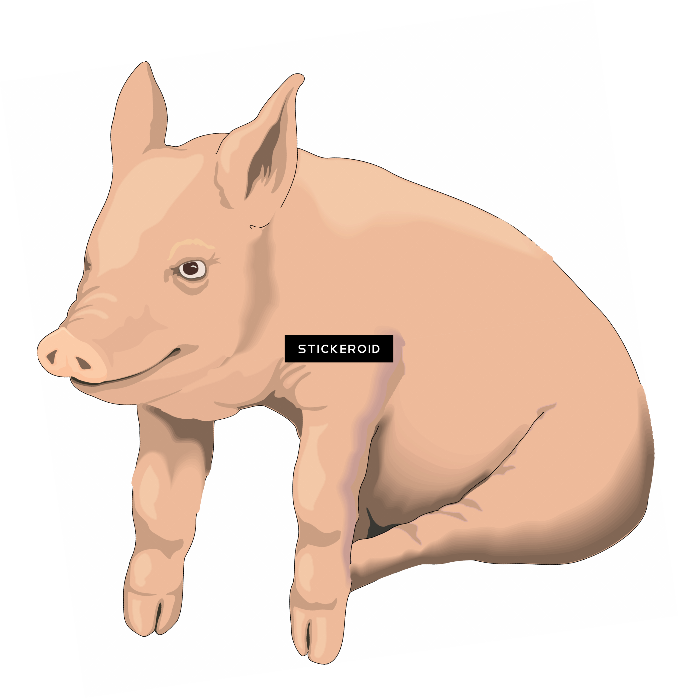 Pig - Clip Art Pig Transparent (2244x2309), Png Download