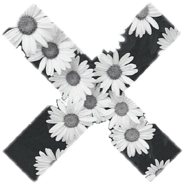 X Spacers For Instagram (633x631), Png Download