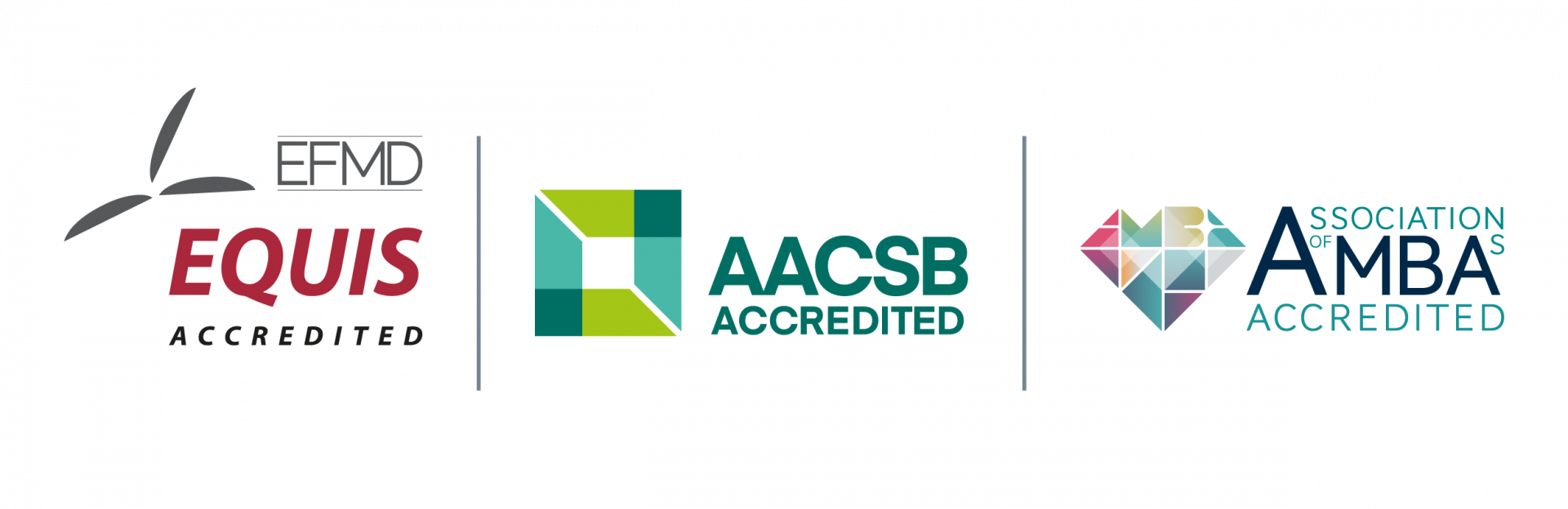 The Amba Accreditation Is The Third International Award - Leeds University Business School Logo (1920x624), Png Download