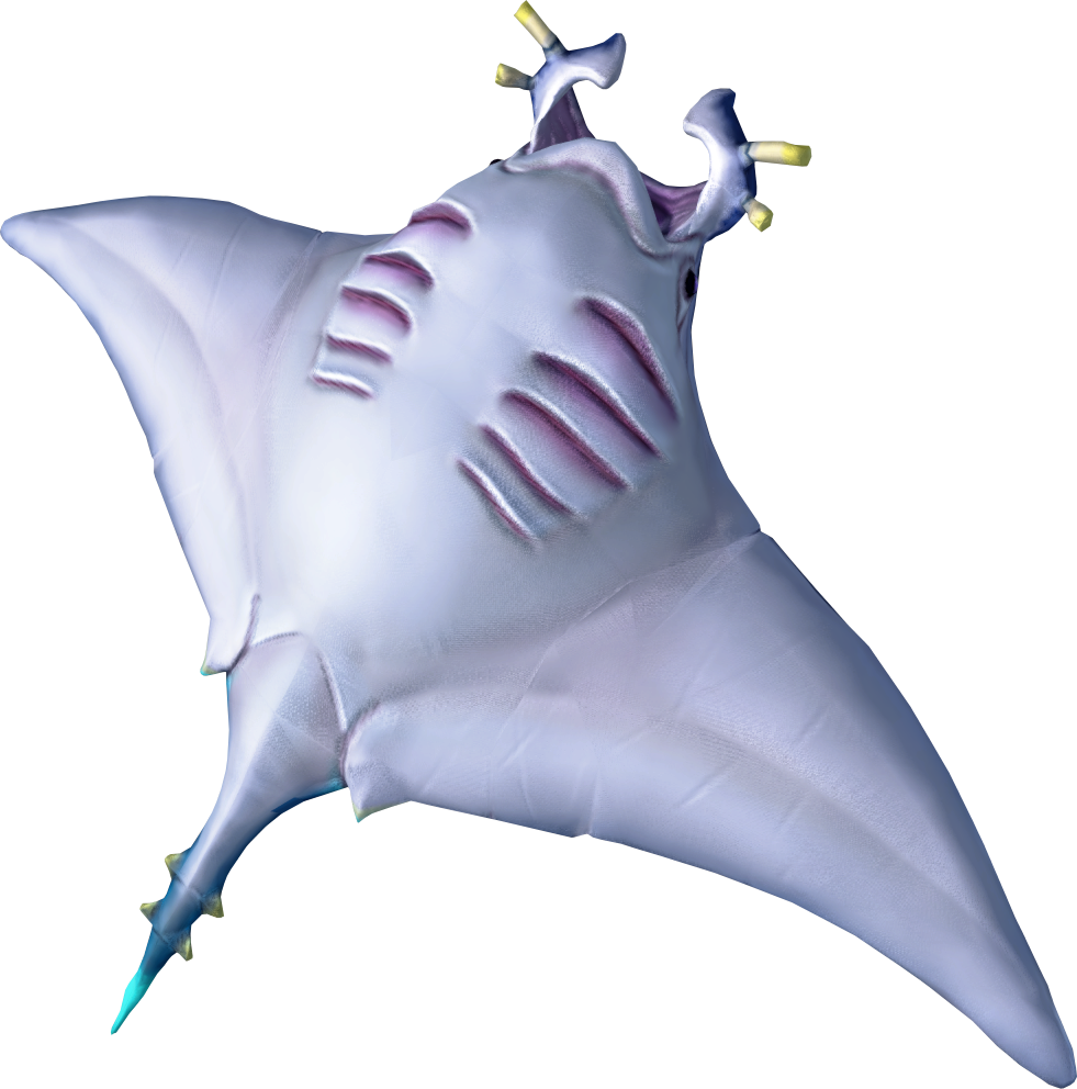 Raw Manta Ray Detail (981x992), Png Download