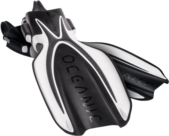 Manta Ray - Oceanic Manta Ray Fins (640x640), Png Download