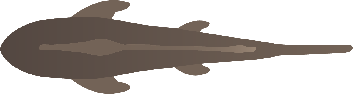 Because We Weren't Able To Computationally Tell Where - Cat Jumps (1187x317), Png Download