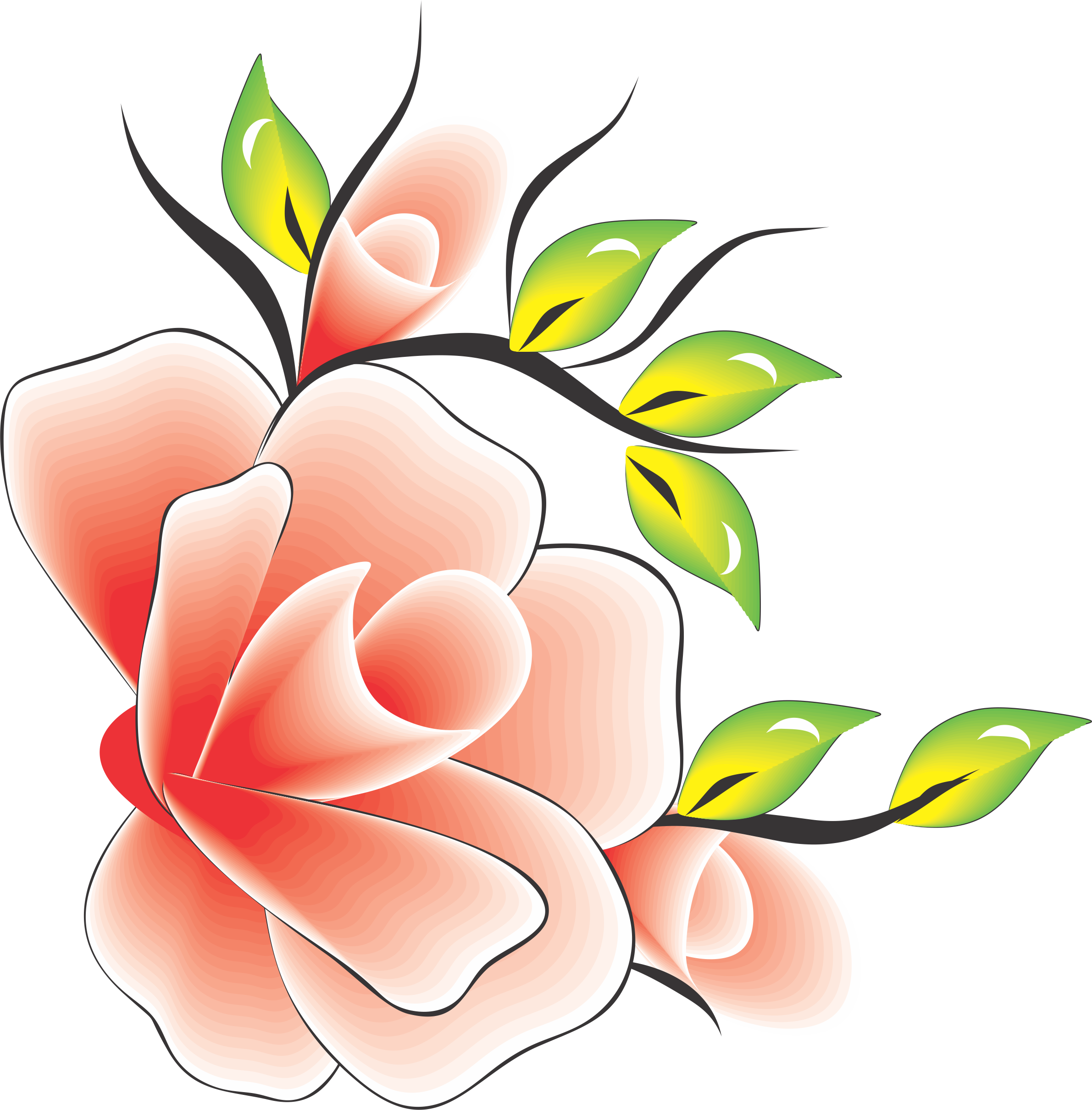 Flor Rosa Com Amarelo Verde Para Adesivo Artesanal - Flower Drawing Color Art (2381x2420), Png Download