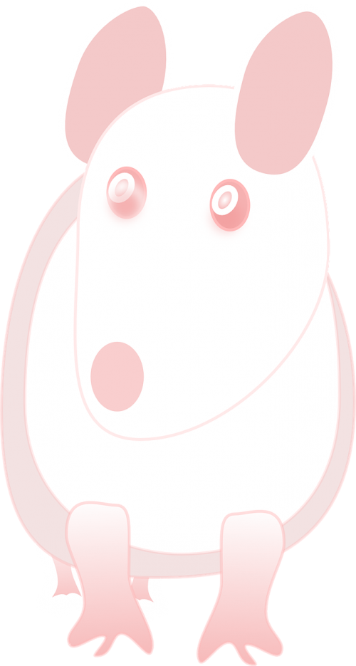 Vector - Laboratory (500x935), Png Download