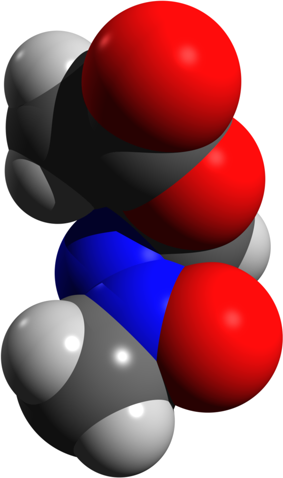 Laboratory Rats Are Used In Some Animal Models Of Schizophrenia - Methylazoxymethanol Acetate (640x1019), Png Download