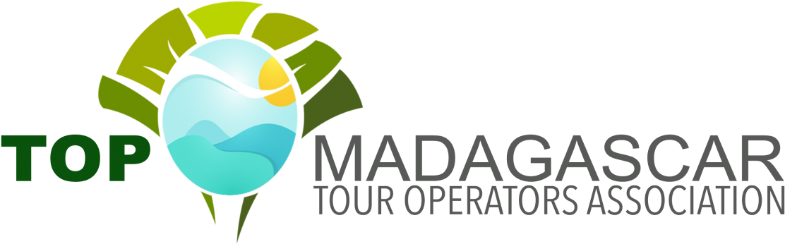 Logo Top Preference - Top Madagascar (1200x466), Png Download