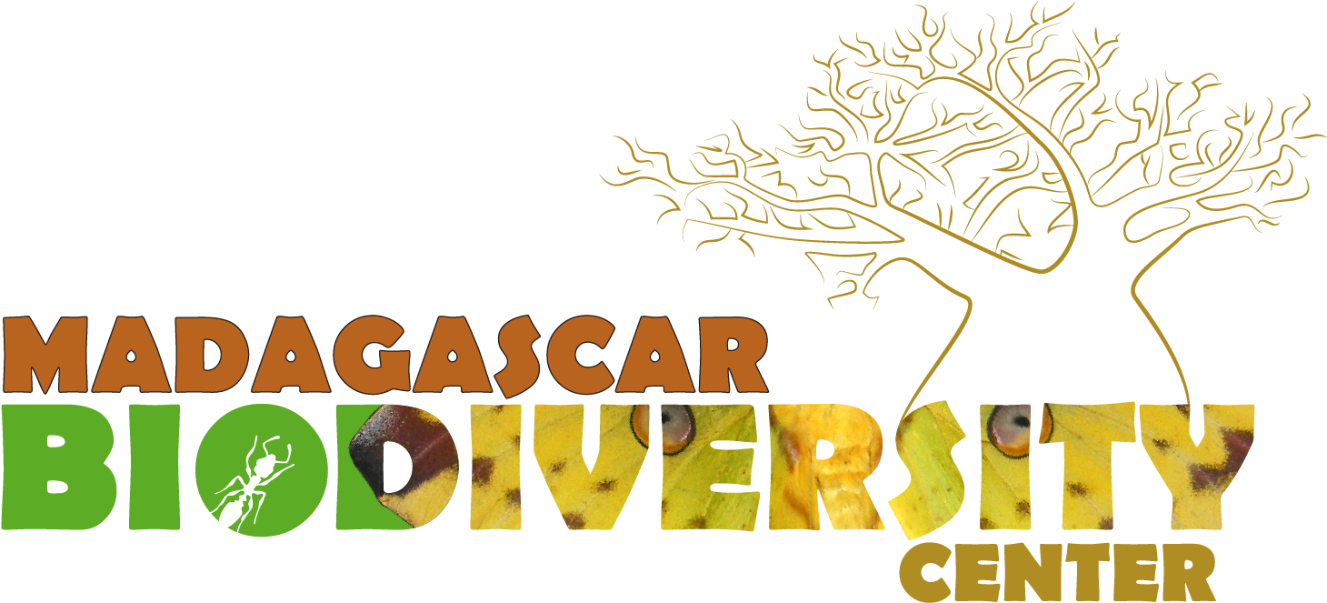 Picture - Madagascar Biodiversity Center (1649x800), Png Download