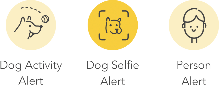 Unlike Other Cameras That Send General Sound And Motion - Selfie (915x360), Png Download