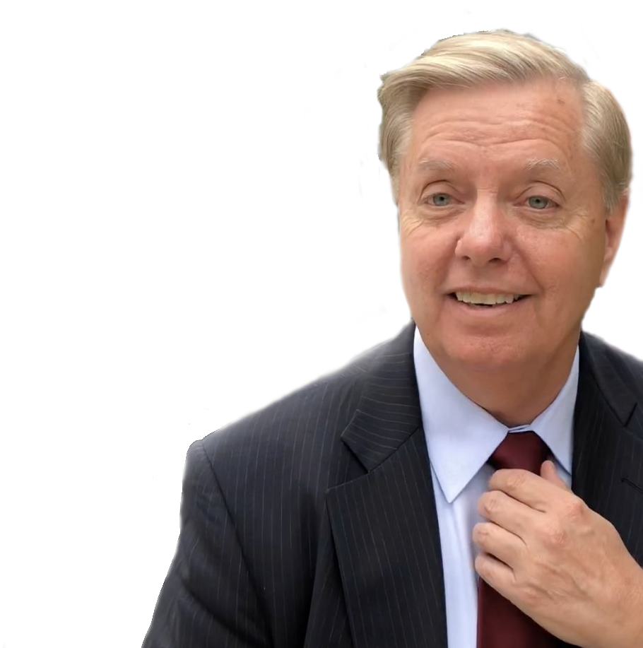 Post - Lindsey Graham Photo Protester (924x1018), Png Download