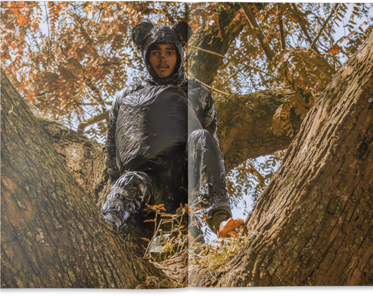 Autumn (1200x1200), Png Download