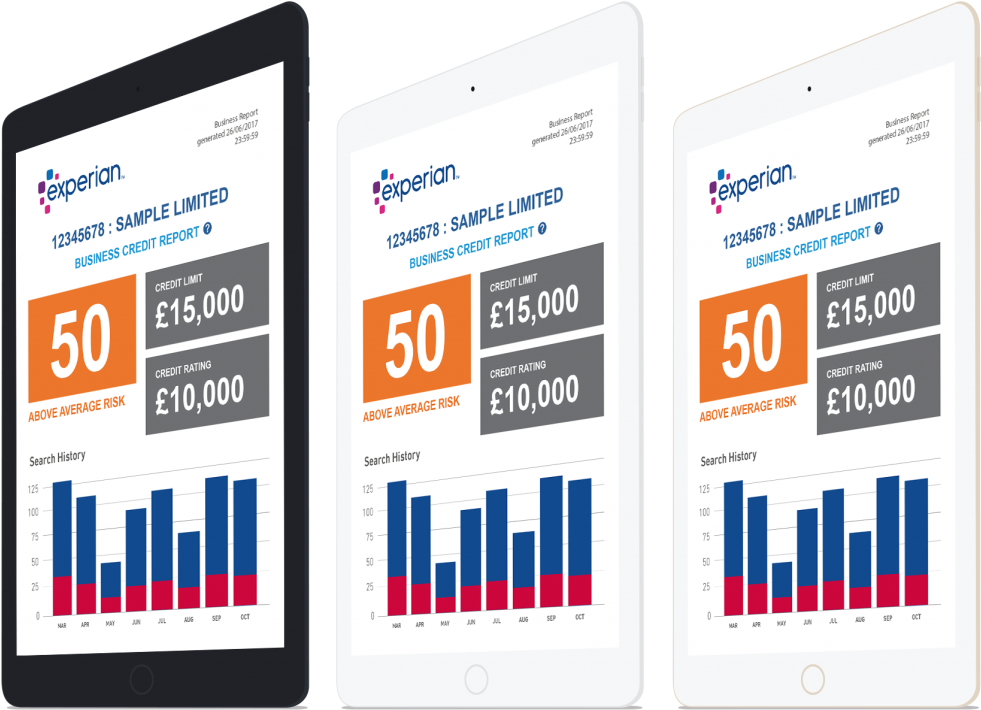 Sample Credit Reports Sample Credit Reports For Teaching - Report (1024x765), Png Download