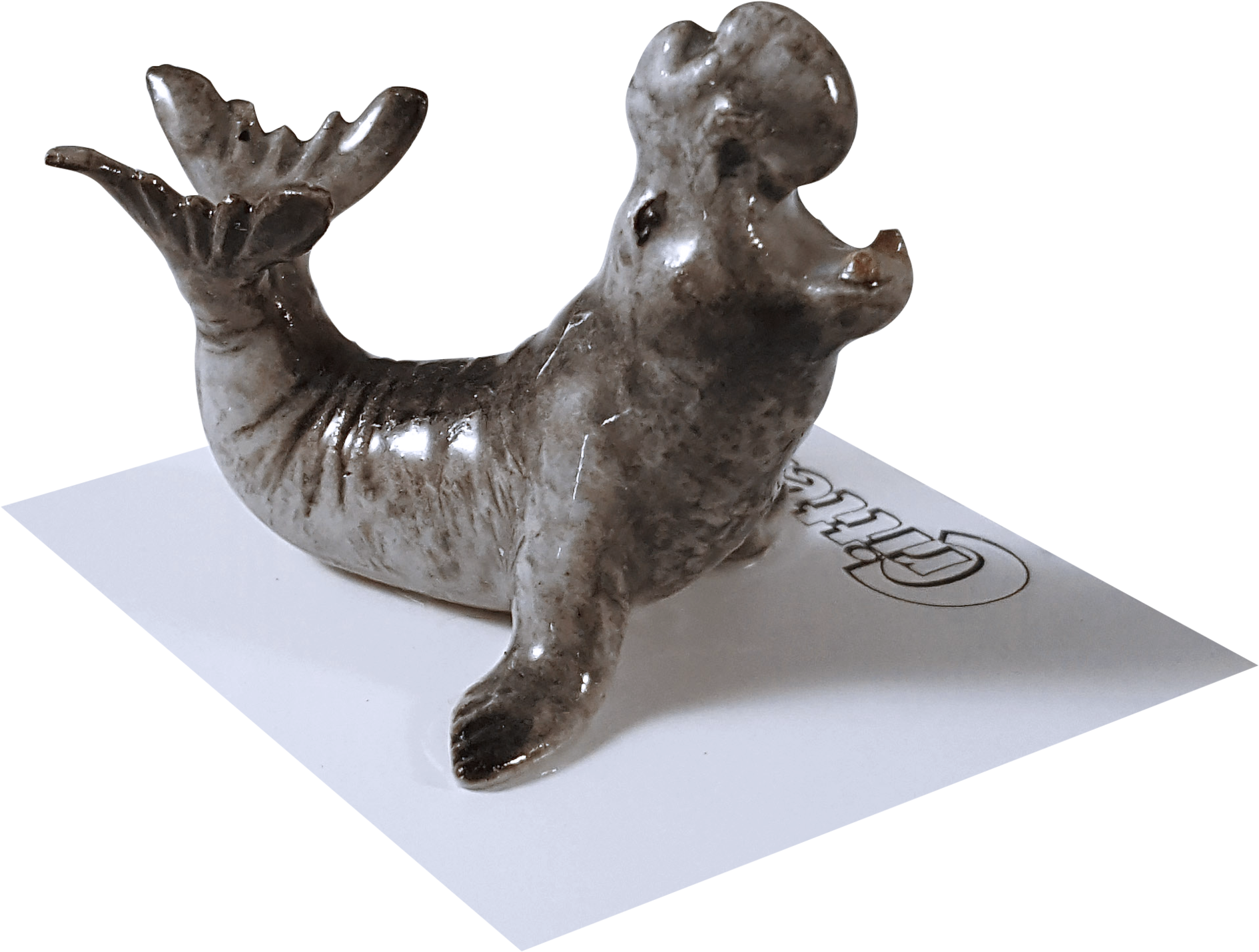 "mirounga" Elephant Seal (2048x1562), Png Download