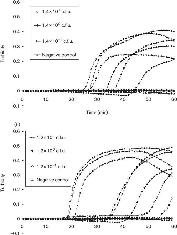 Download - Diagram (584x779), Png Download