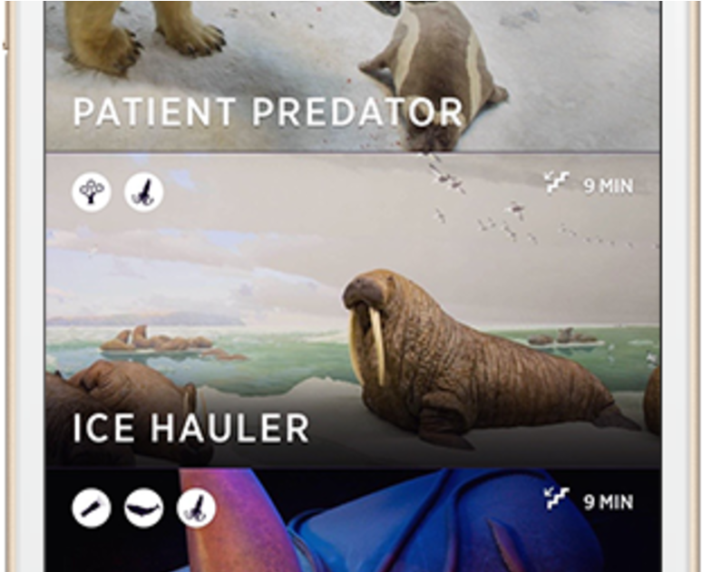 Walrus (1200x630), Png Download