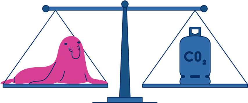 On Average, People Who Switch To (1200x488), Png Download