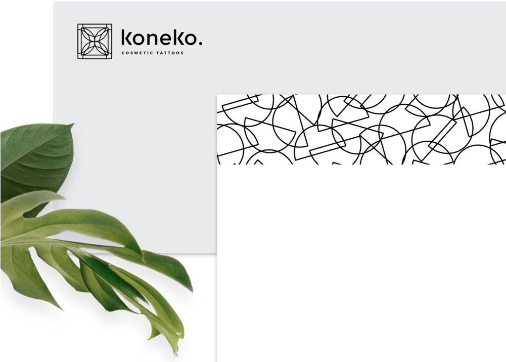 Koneko 02 03 (1000x752), Png Download