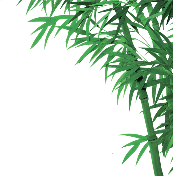 Bamboo Png, Download Png Image With Transparent Background, - 竹子 水墨 背景 (737x567), Png Download