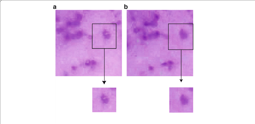 Comparison Of Composite Images Before And After Color - Color (850x415), Png Download