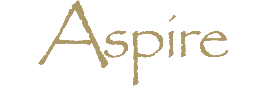 Aspire Private Capital - Ageless Yoga: Gentle Workouts For Health & Fitness (1200x463), Png Download