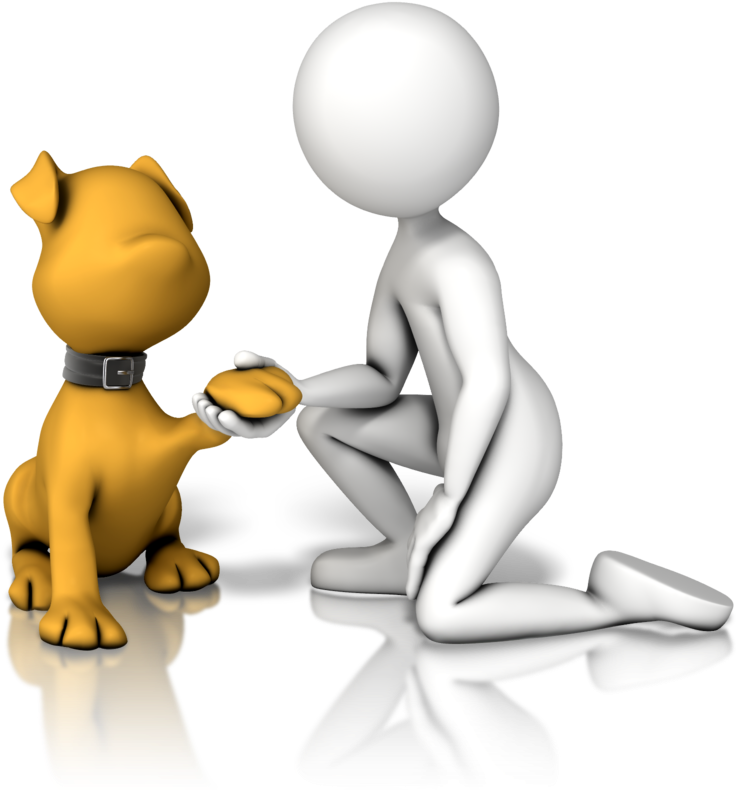 Centro De Atención A Mascotas - Dog (800x800), Png Download