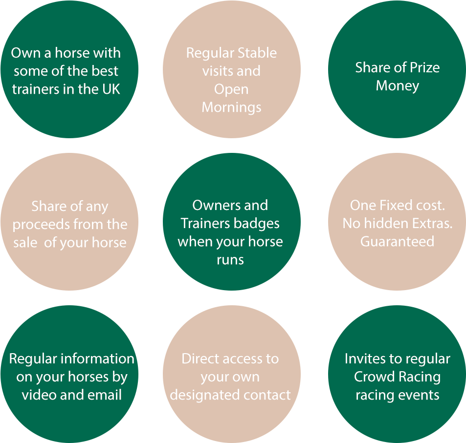 9 Reasons To Own A Racehorse - Christian Fish Icon (1051x1059), Png Download