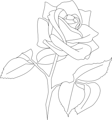 Jpeg (800x600), Png Download