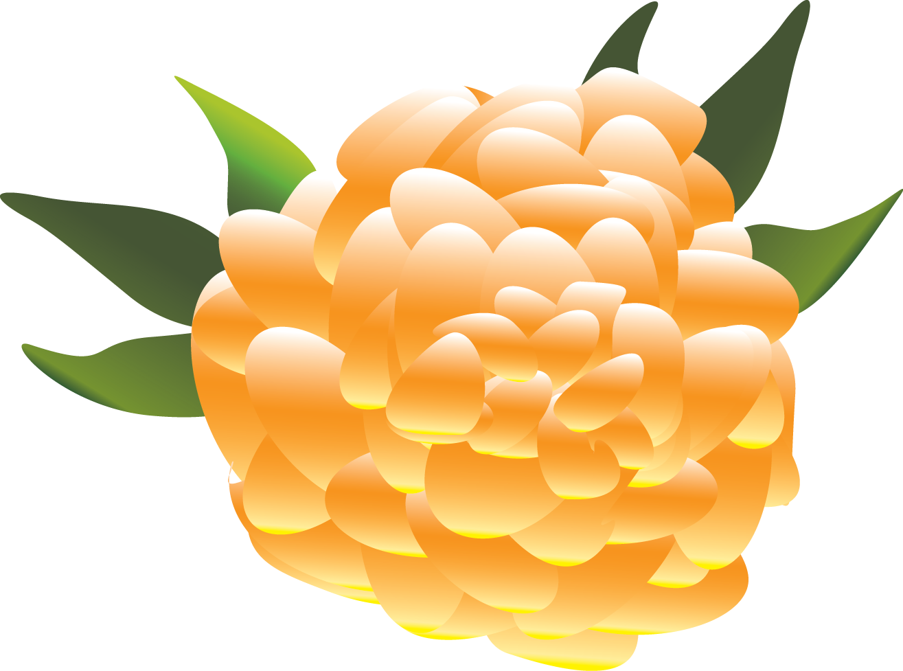 Flower Orange Flower Yellow - Mexican Flowers Clip Art (1315x977), Png Download