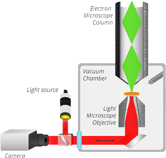 Integrated Clem - Everhart-thornley Detector (600x559), Png Download