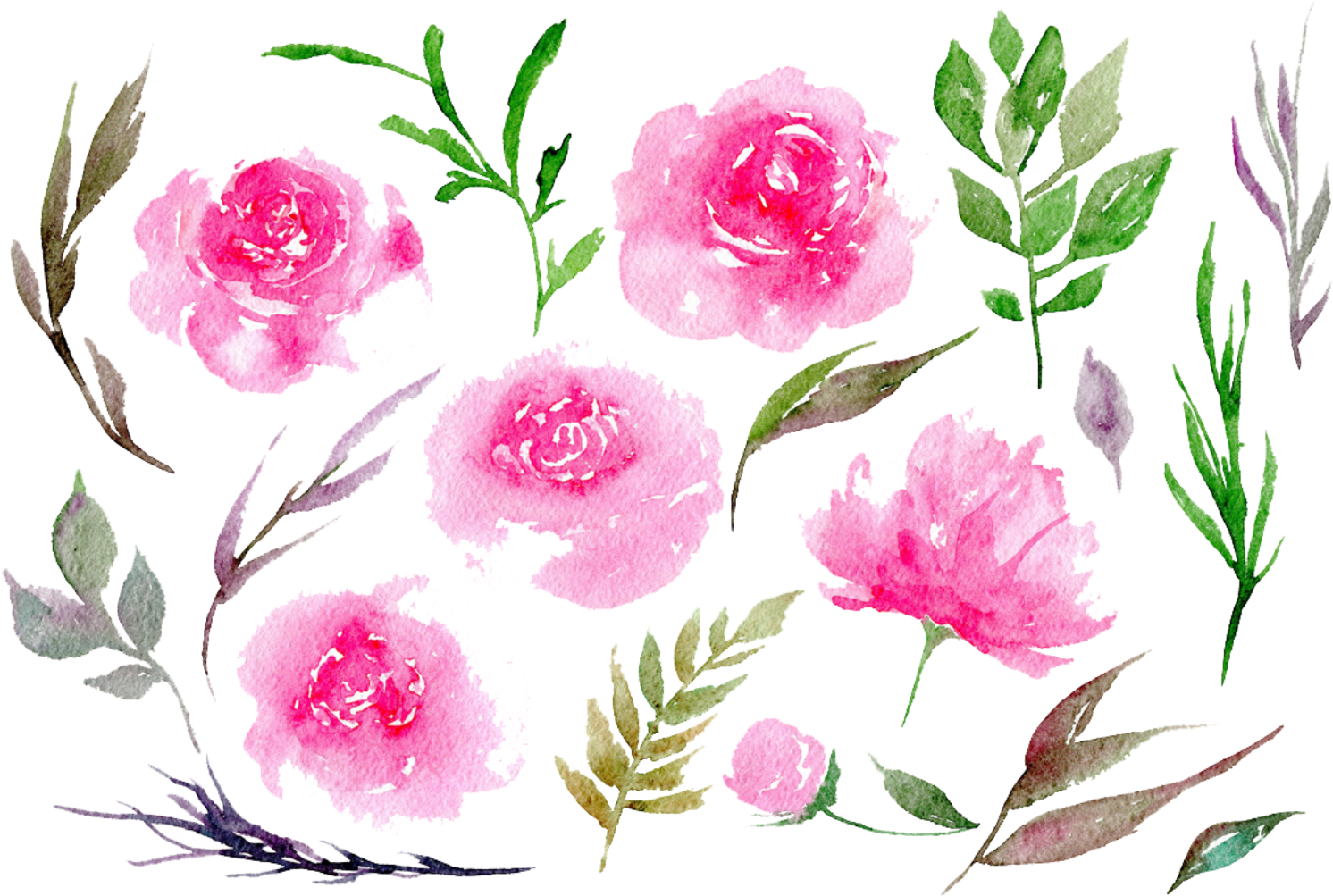 Report Abuse - Watercolor Pink Peonies Png (1538x1024), Png Download