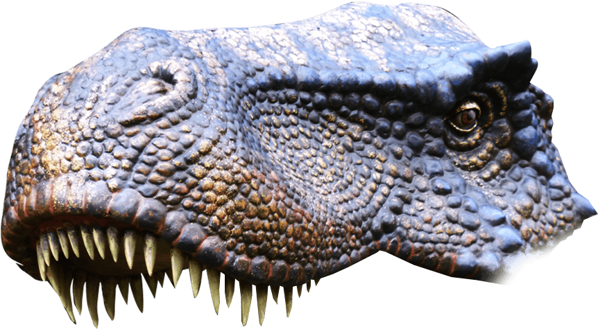 T Rex T Rex - Tyrannosaurus (896x536), Png Download