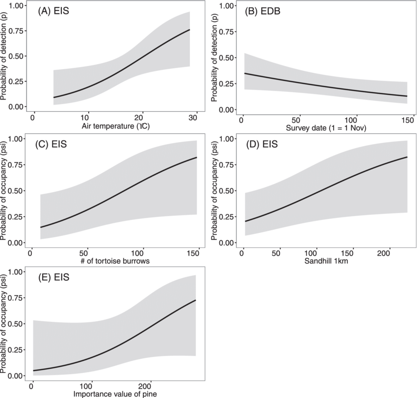 Relationships Between Eastern Indigo Snake And Eastern - Drymarchon (850x811), Png Download