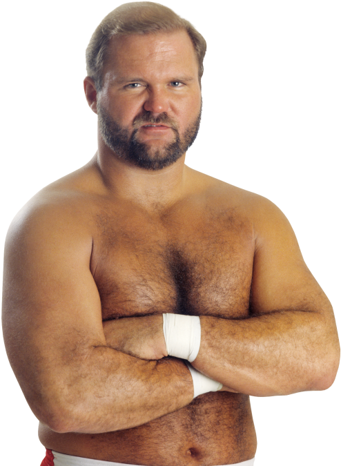 Arn Anderson Pro - Arn Anderson (1000x707), Png Download
