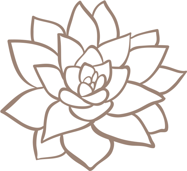 Wooden Signs - Succulent Plant (800x600), Png Download