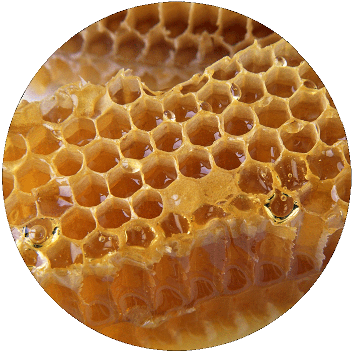 Ingredients - Honey - Honeycomb (700x700), Png Download