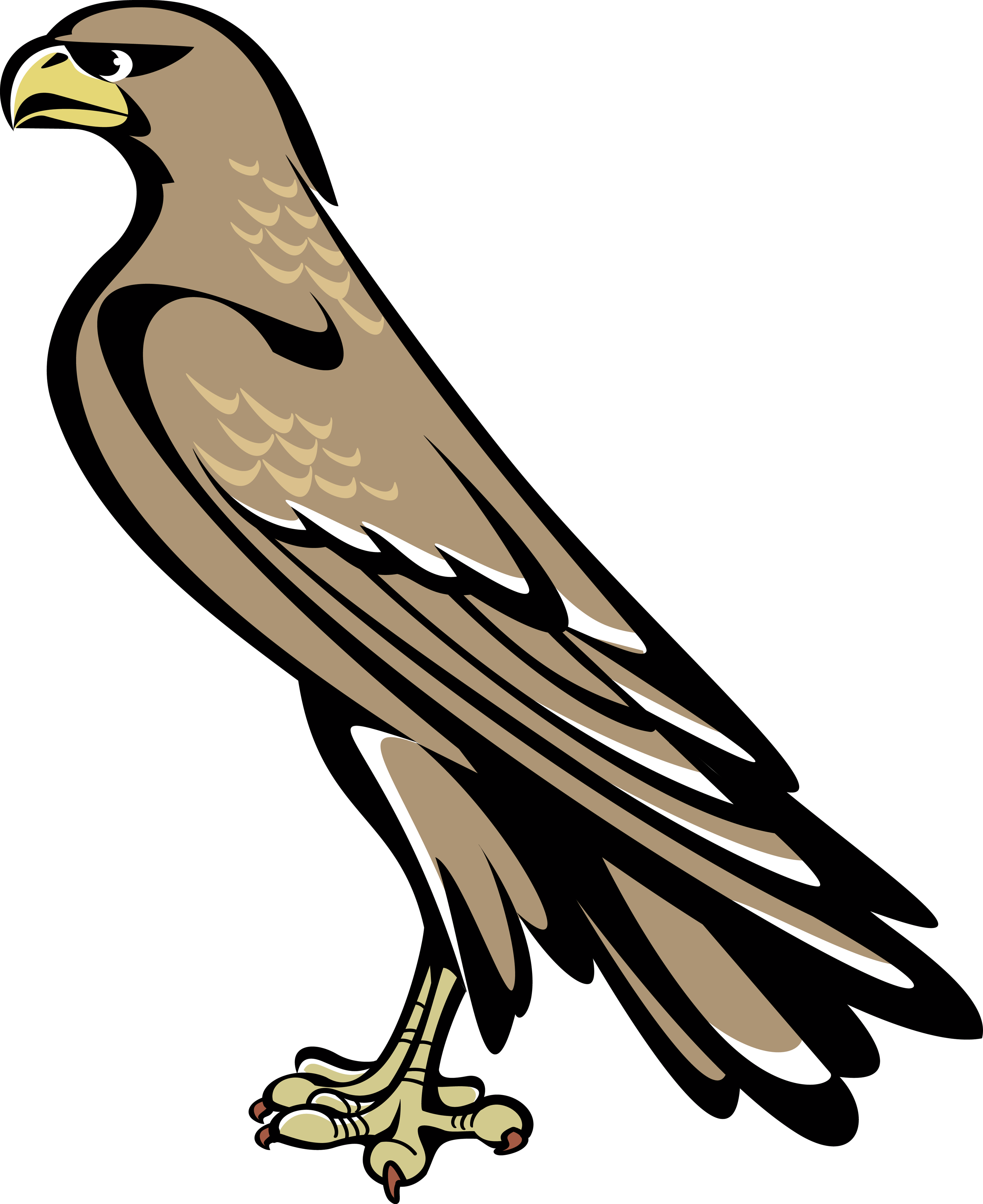Falcon Symbol Coat Of Arms (3000x3673), Png Download