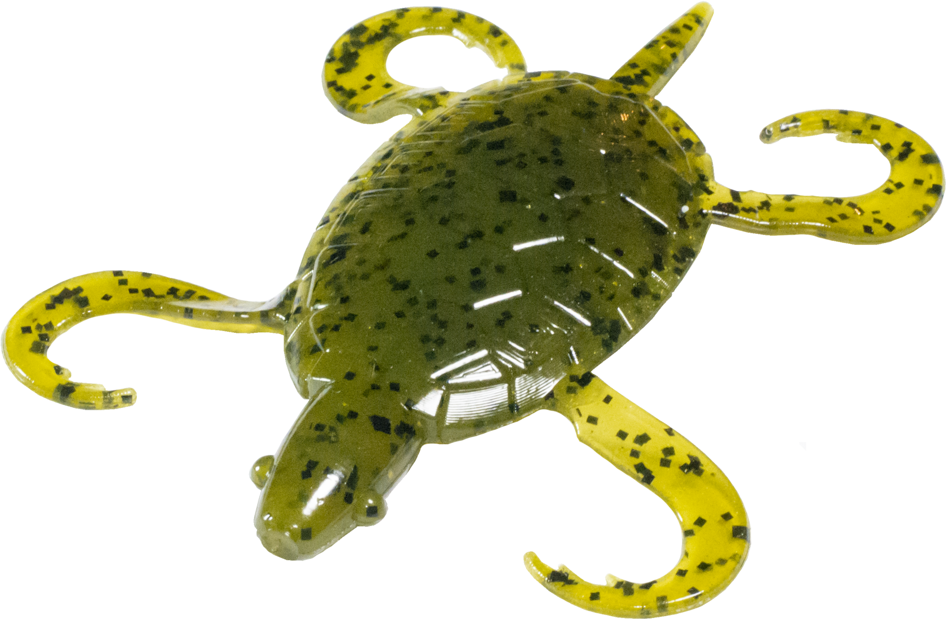 Green Pumpkinseed - Pumpkinseed (2048x2048), Png Download