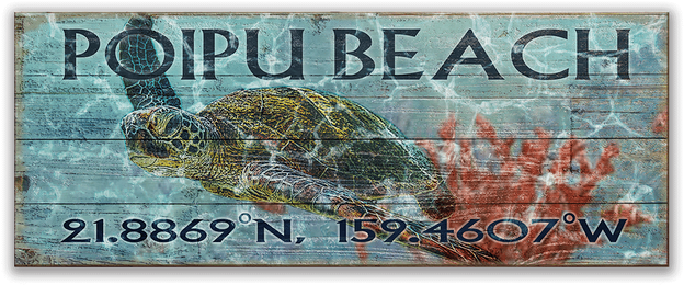 View Zoom Sea Turtle Longitude Latitude Sign - Latitude (730x730), Png Download
