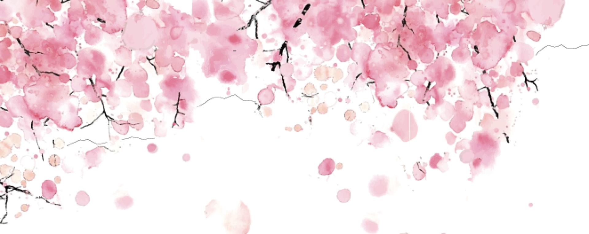 Cherry Blossom - Free Transparent PNG Download - PNGkey