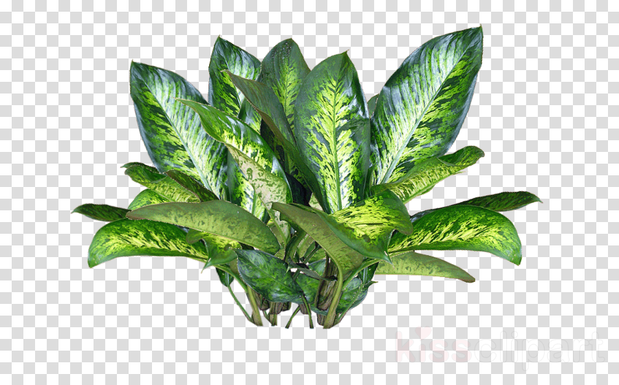 Plant Pixel Art Png