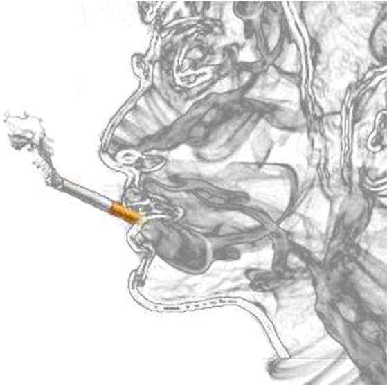 Ban Poster World No Tobacco Day Smoky - Smoke Art (714x555), Png Download