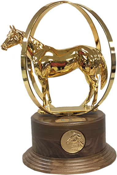 Aqha World Champion Duplicate Trophy - Aqha World Show Trophy (600x600), Png Download