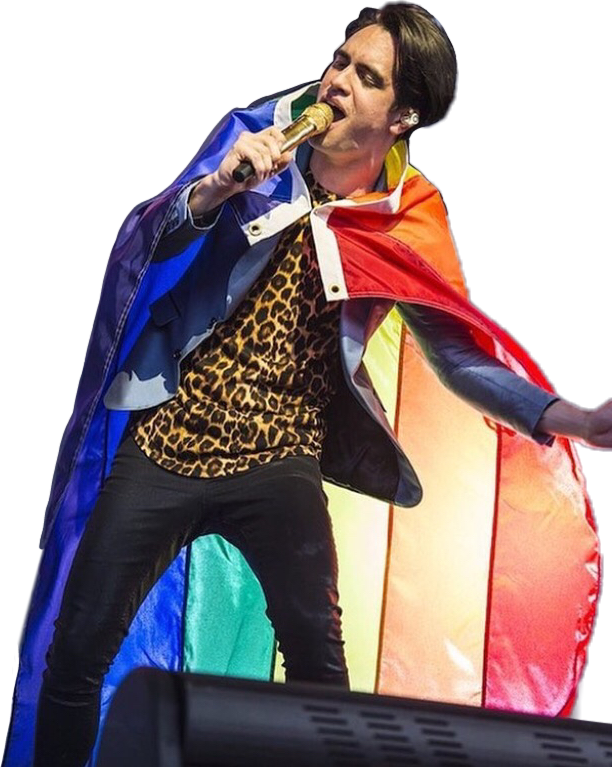 Report Abuse - Brendon Urie Pride Flag (612x767), Png Download