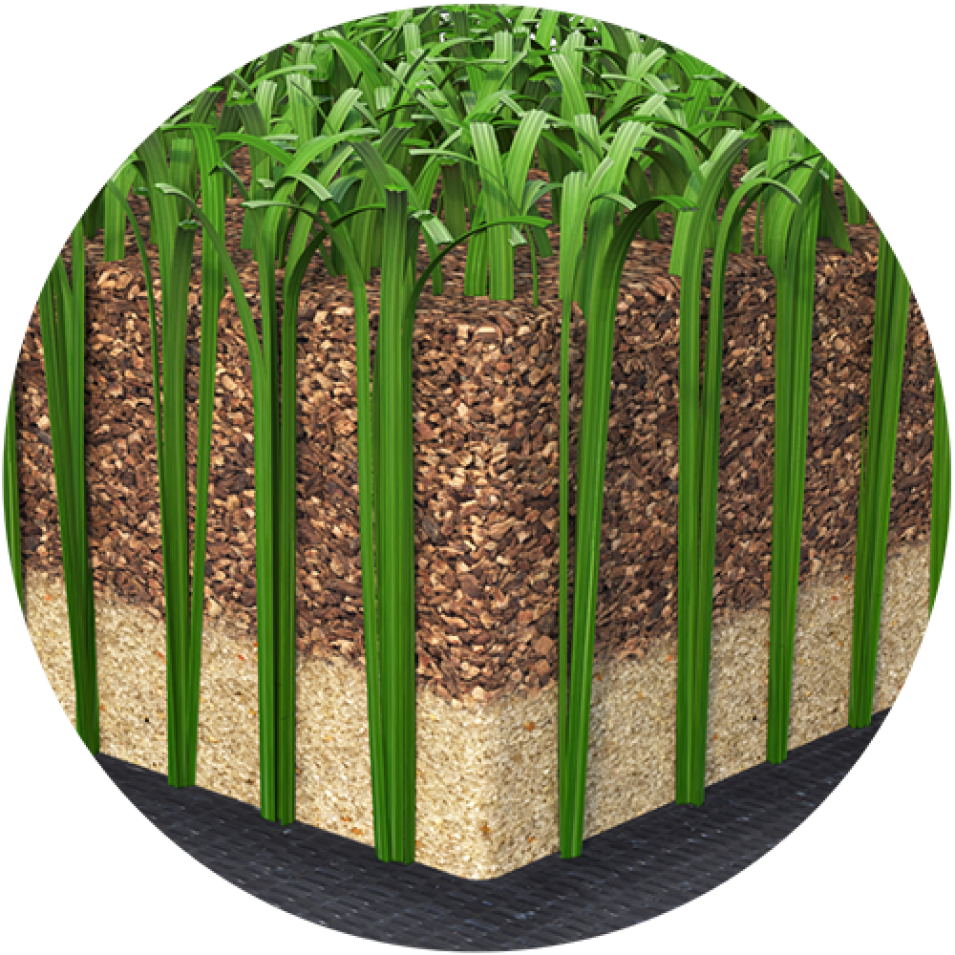Purefill - Coconut (955x955), Png Download